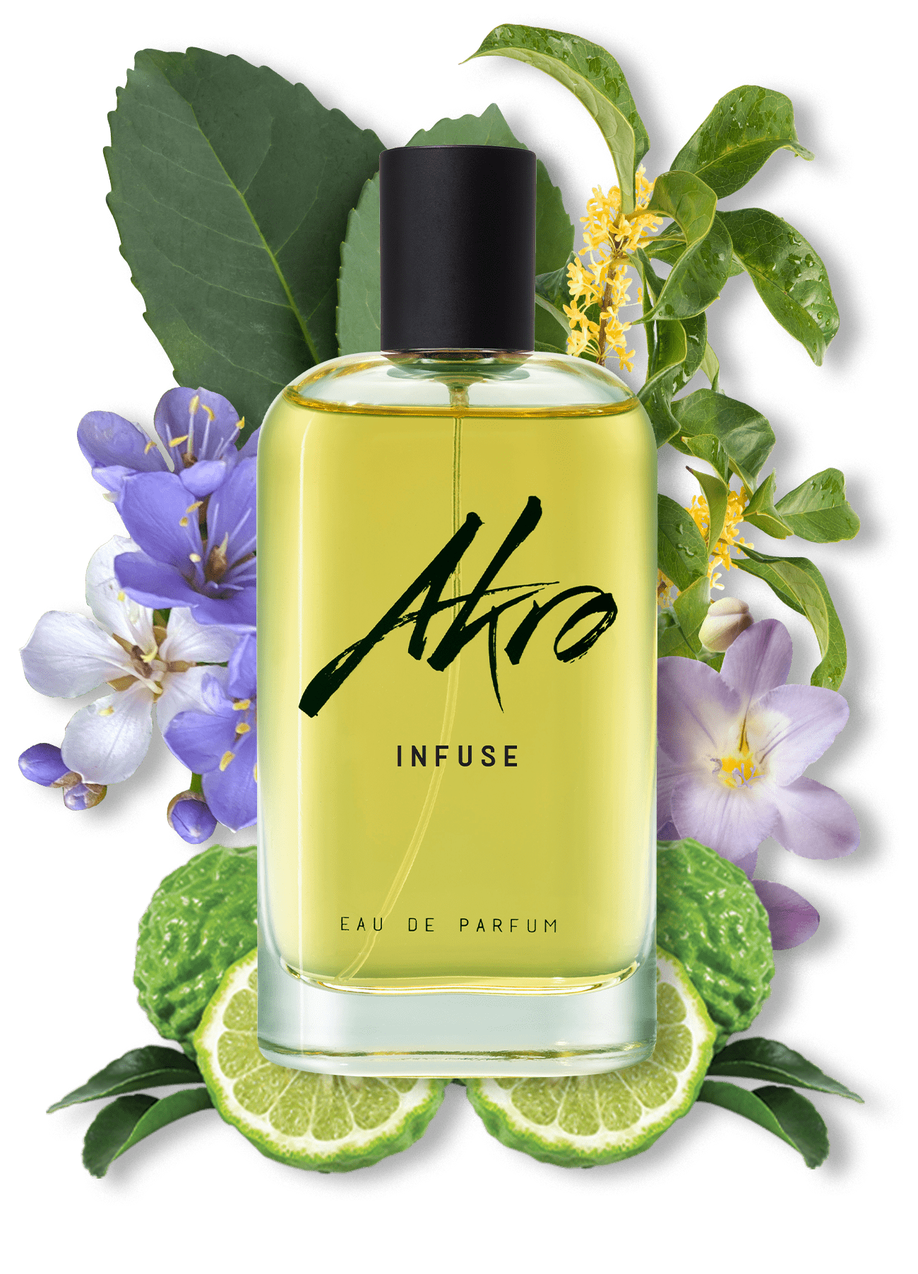 Akro Infuse | Tea perfume | AkroFragrances - AKRO Fragrances US
