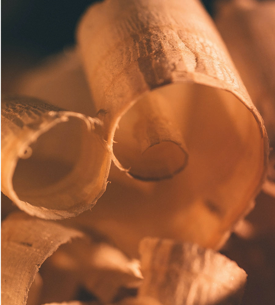 Woody fragrances perfumes akro