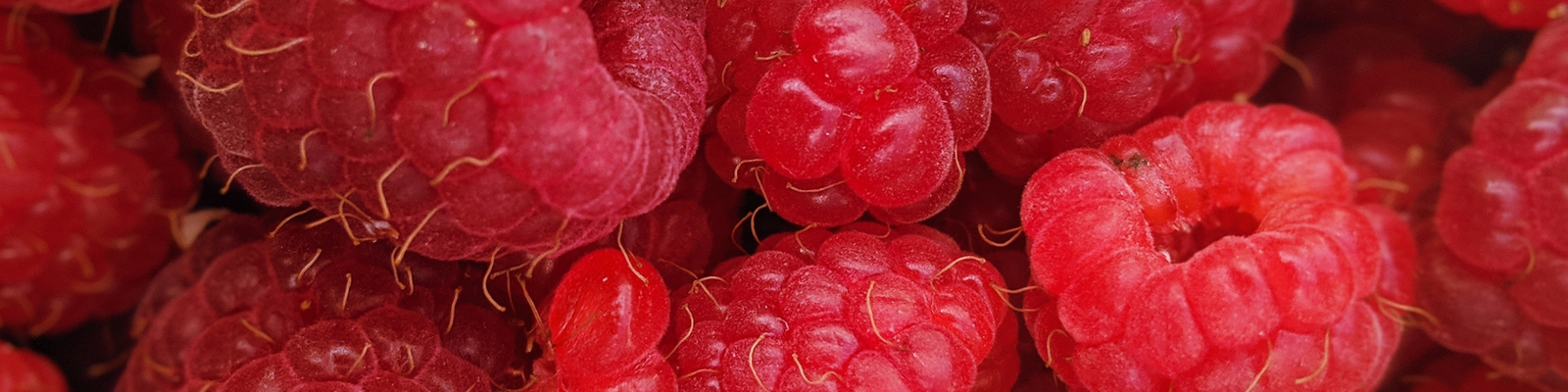 fruity fragrances perfumes akro