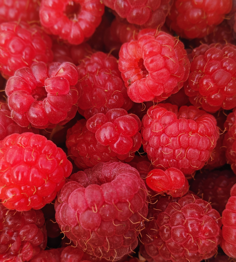 fruity fragrances perfumes akro - strawberries