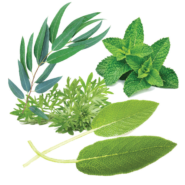 haze cannabis perfumes akro