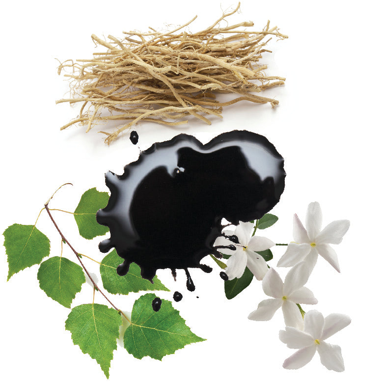 ingredients Ink perfume - AkroFragrances