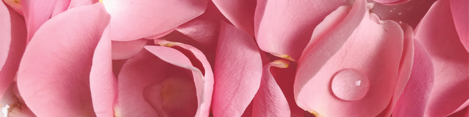 floral fragrances perfumes akro